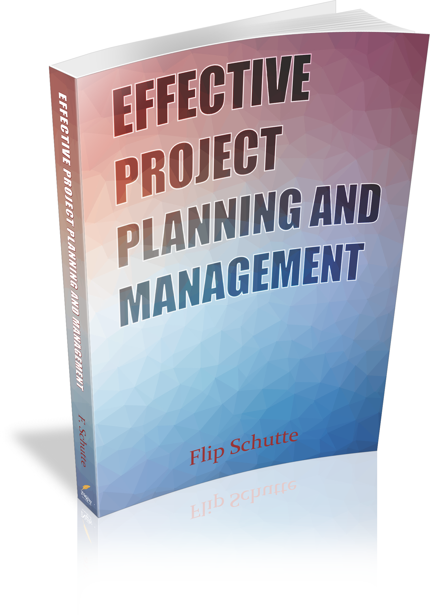 Book Published Effective Project Planning And Management INtgrty